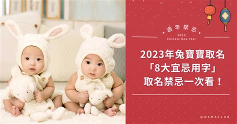 兔寶寶 2023 最 好 運